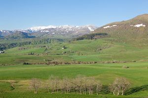 Couvreur urgence Cournon-d'Auvergne